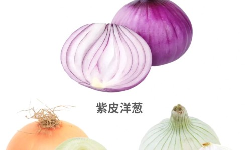中药白芍煎水要多长时间网中药白芍有什么功效和作用知识网站,分享中药白芍作用与功效大全
