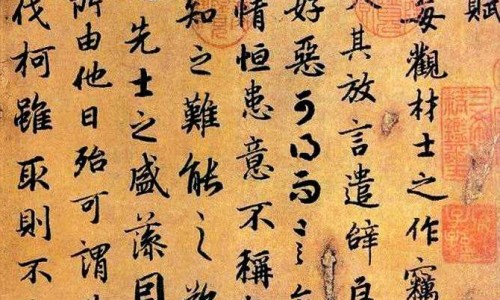 中药白芍多少钱一斤-中药白芍煎水要多长时间网中药白芍有什么功效和作用知识网站,分享中药白芍作用与功效大全
